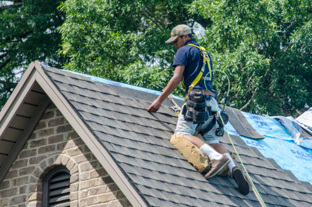 Best Local Roofing Companies  in Meadville, PA